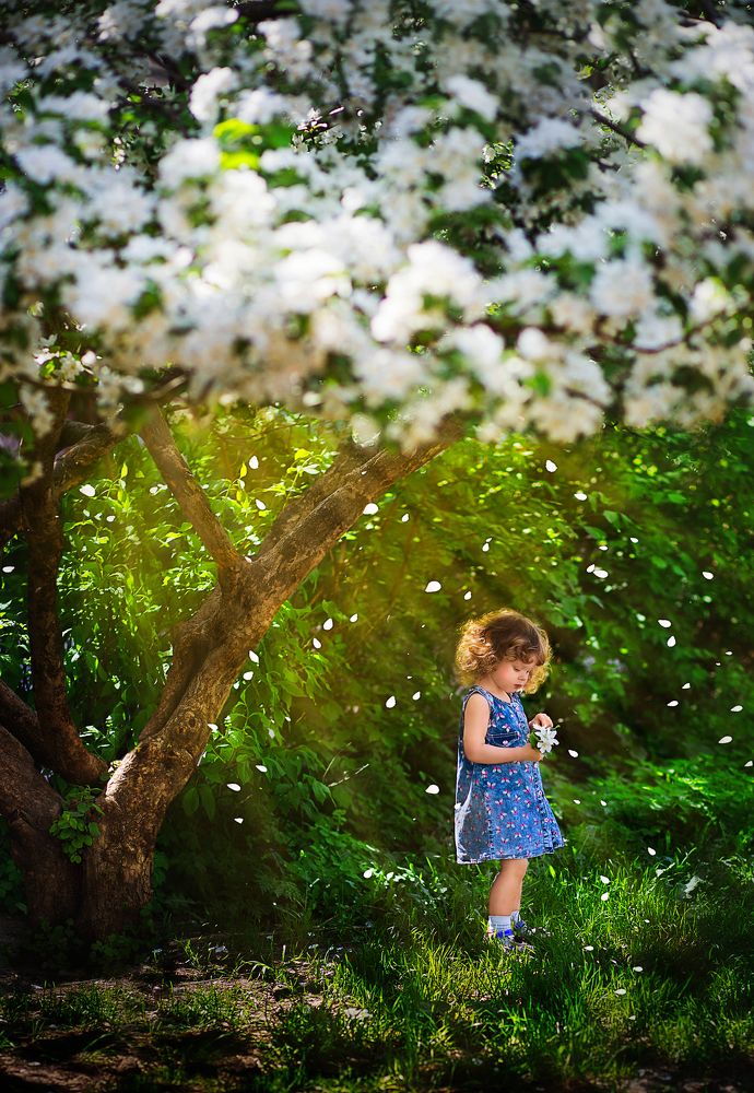 Photograph by Инна Семенова