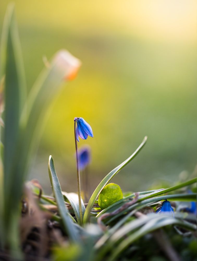 Пробуждение...