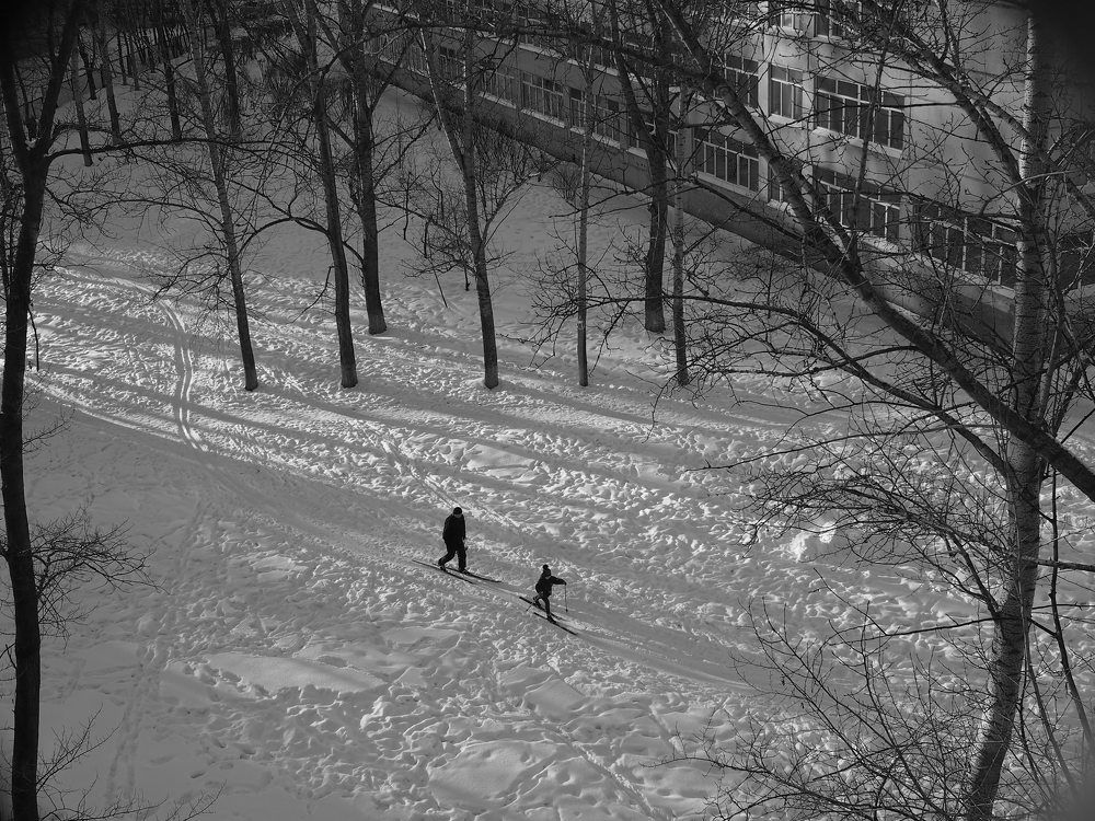 Из серии "Школьный двор"