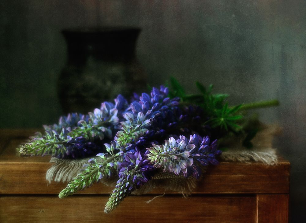 с люпинами...