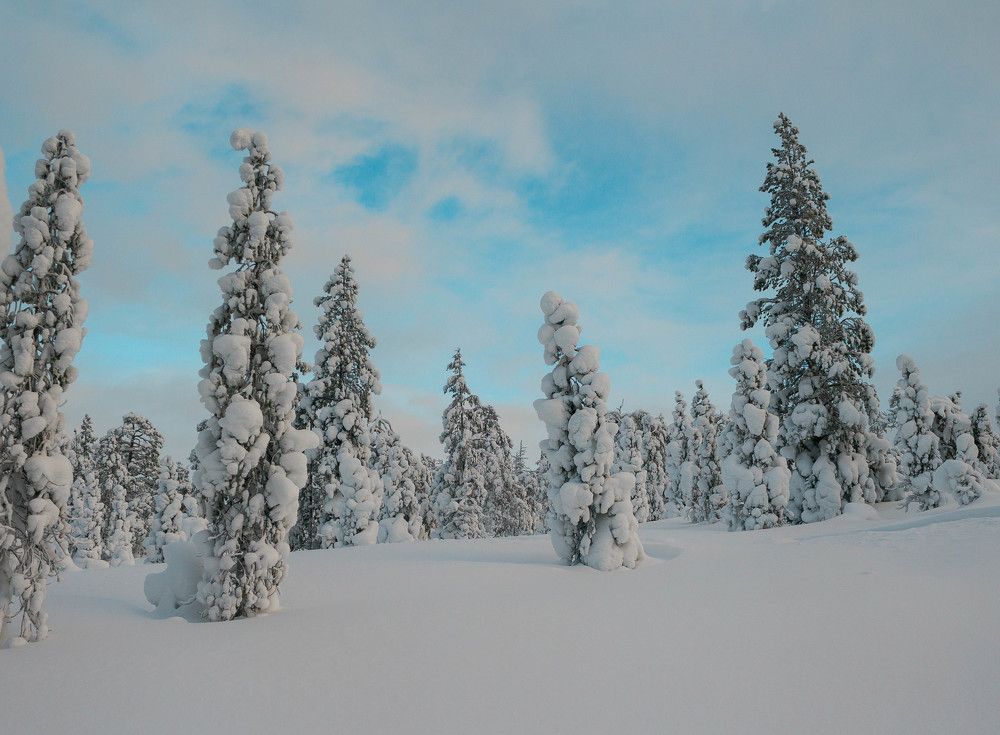 Photograph by Антон