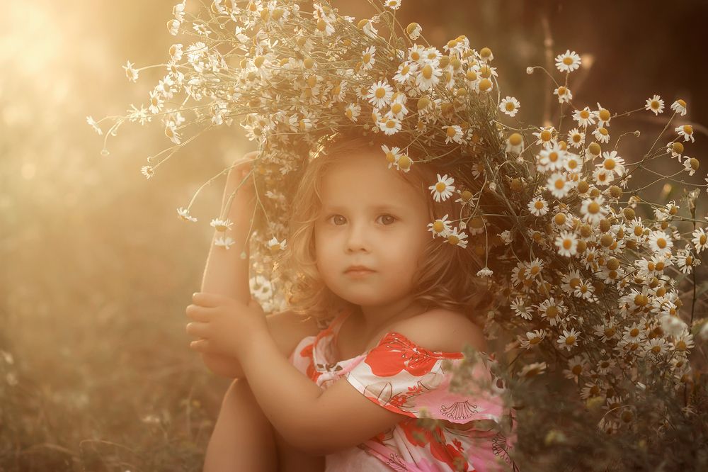 утро в ромашках