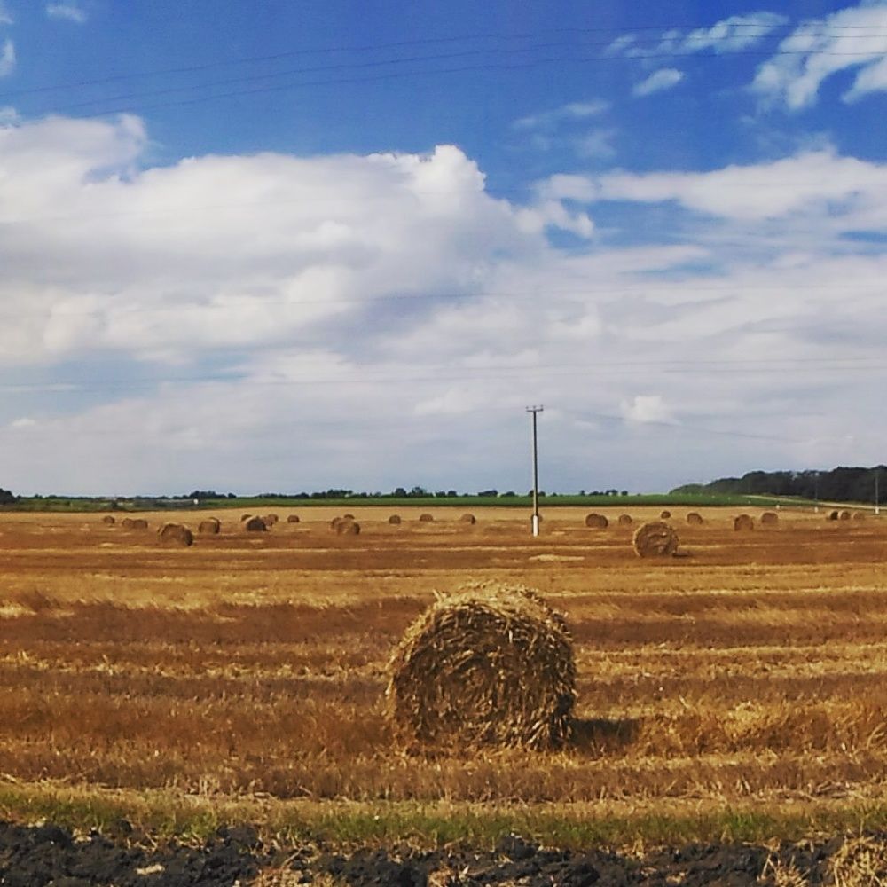 Photograph by Юлич