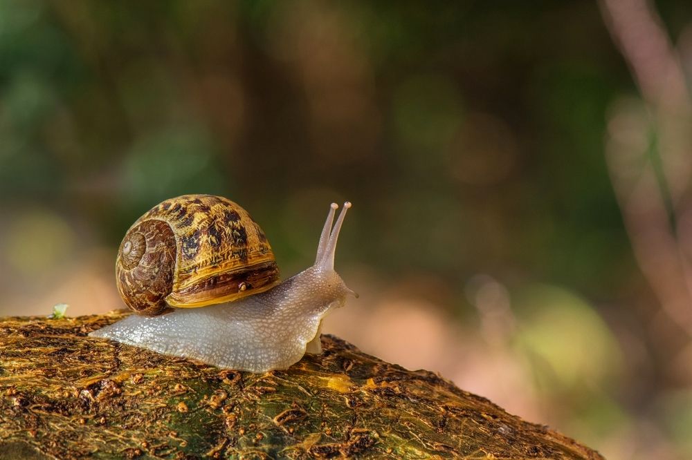 В прекрасное далёко я начинаю путь...