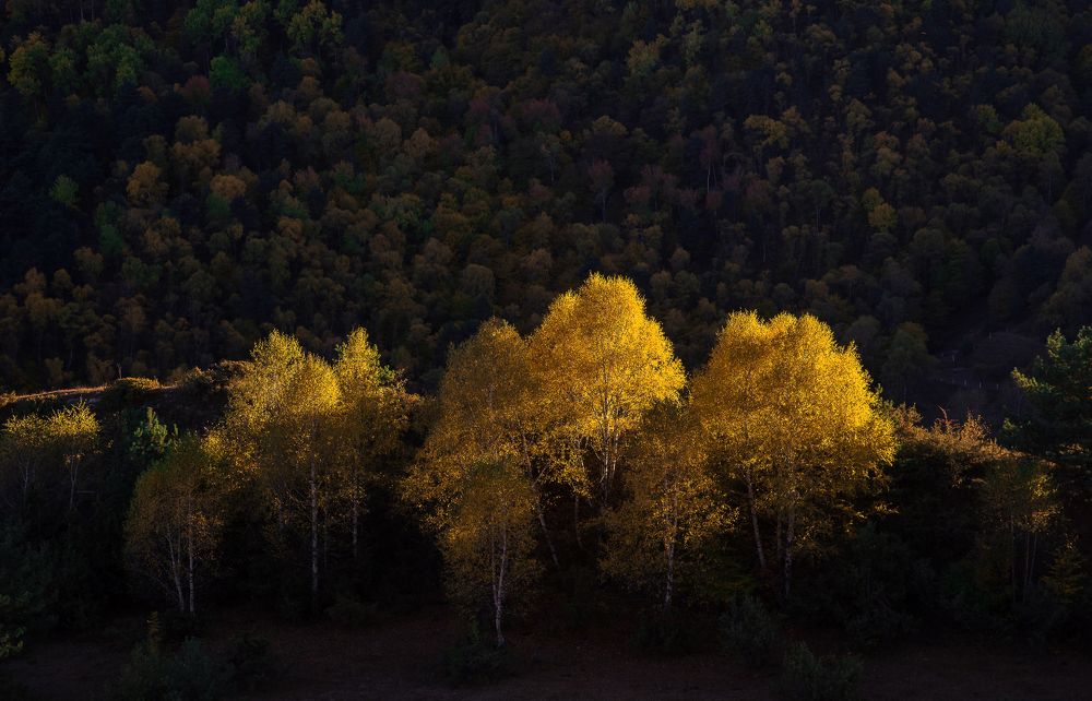 Осенний золотой закат