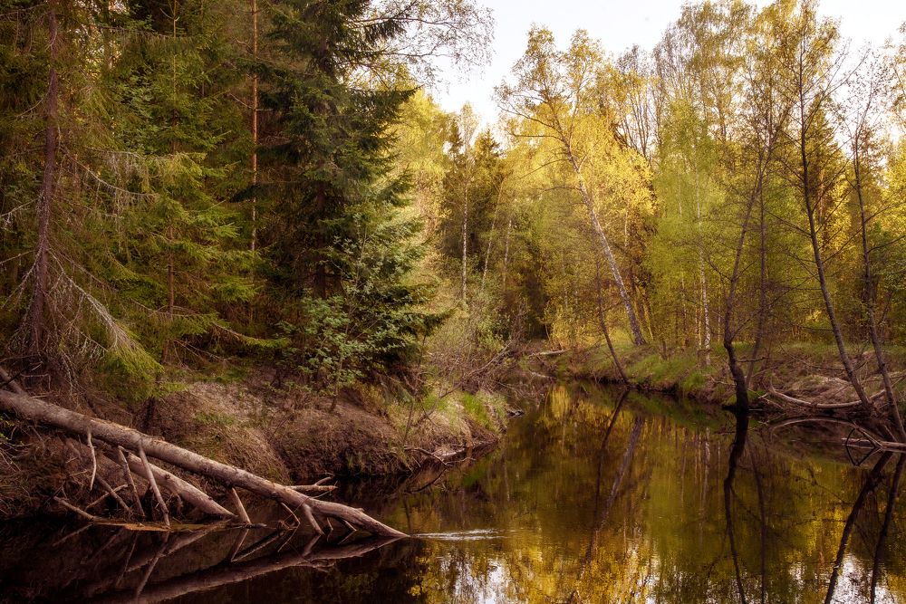 Весна на Линде