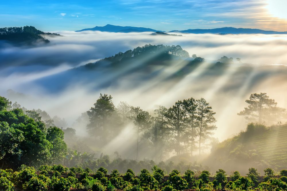 Beautiful sunrise through the fog
