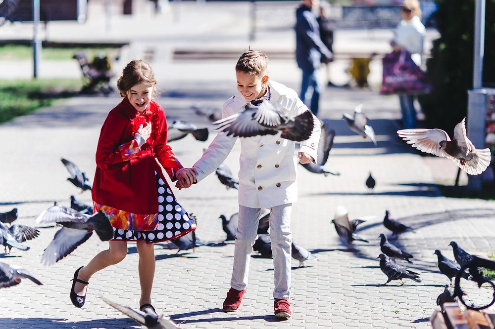 Голуби. И первая любовь.