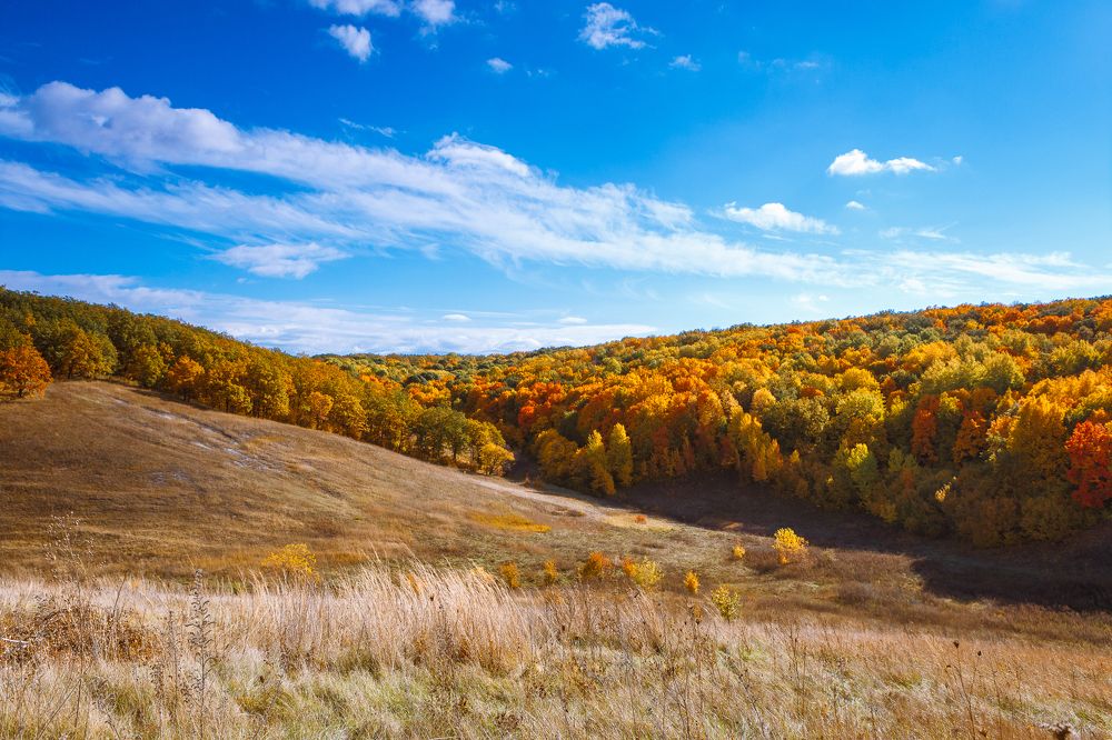 Безмятежность по русски