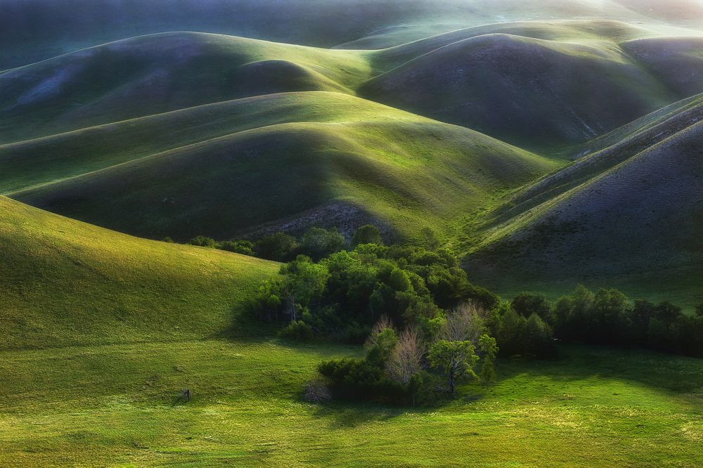 Бархат Нагайских гор