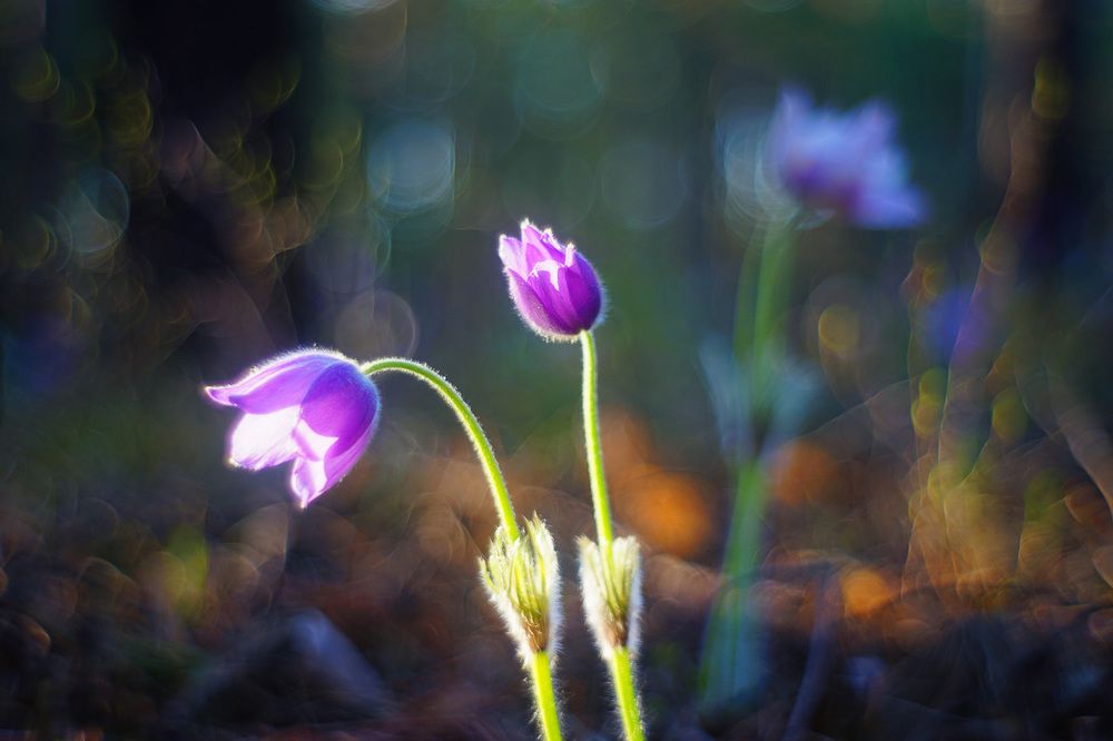 Photograph by Андрей