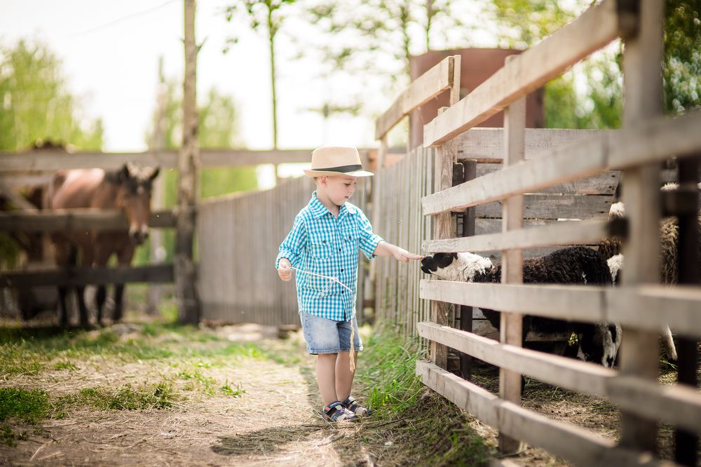 Маленький фермер