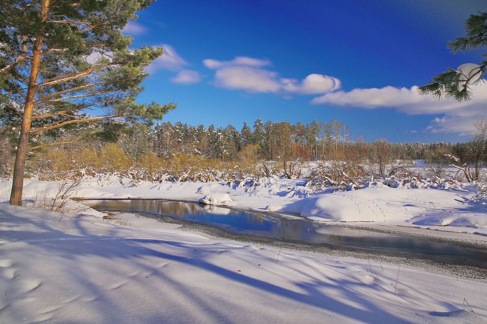 У зимней реки