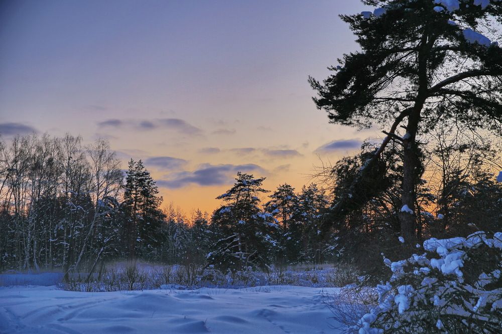 Зимний этюд