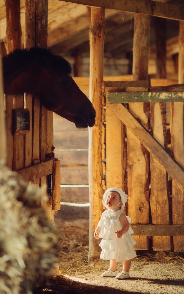 -Дратуте,а принца не видели?