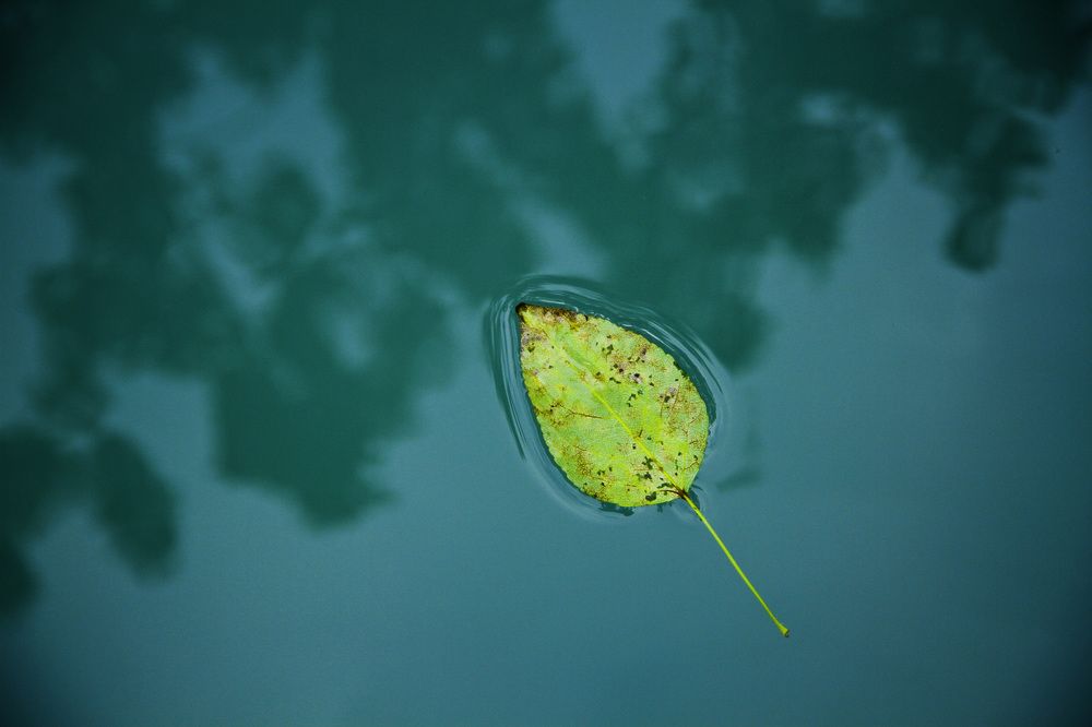 Одиночество