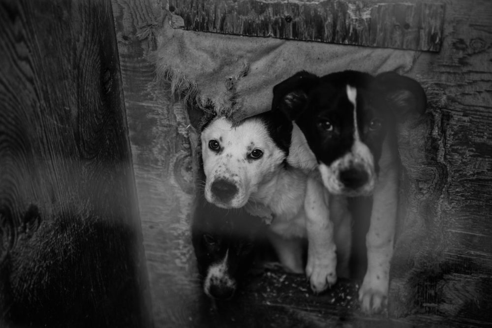 В ожидании.