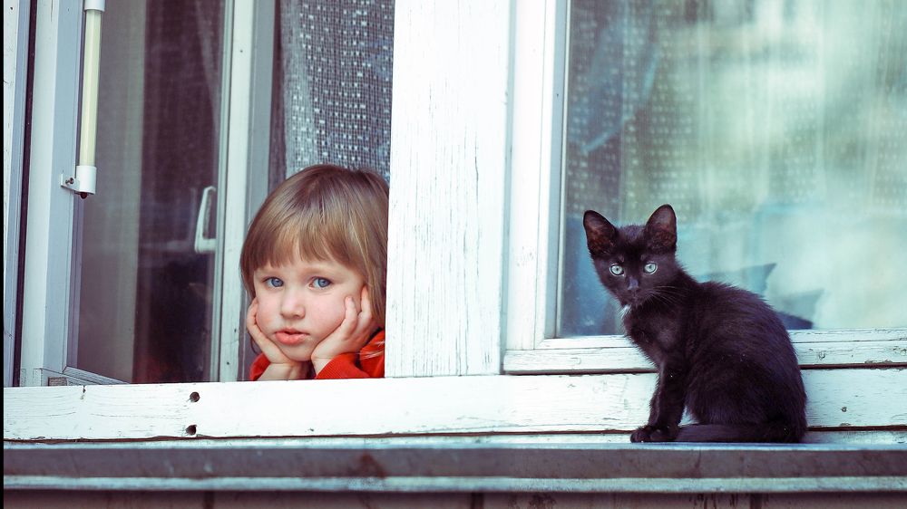 Девочка и котёнок