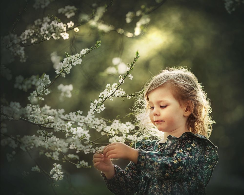 Один раз в год