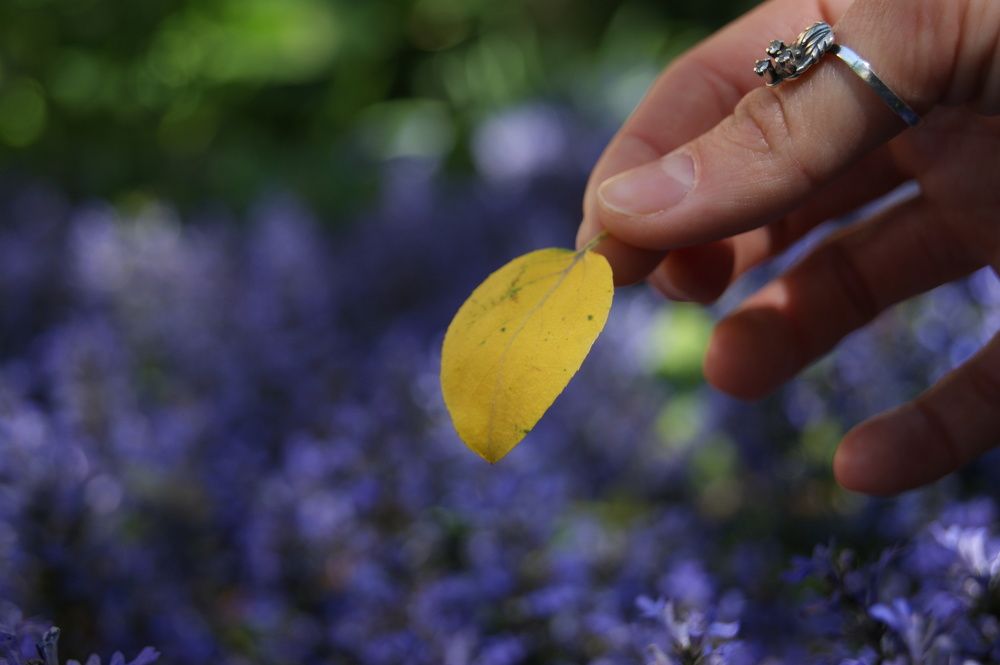 Photograph by Мария