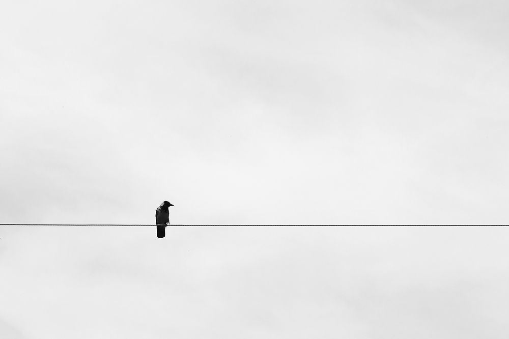 Photograph by Semion