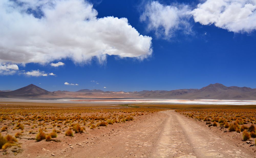 Photograph by somicsm