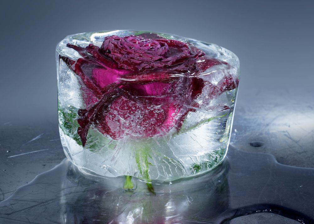 Застывшая красота