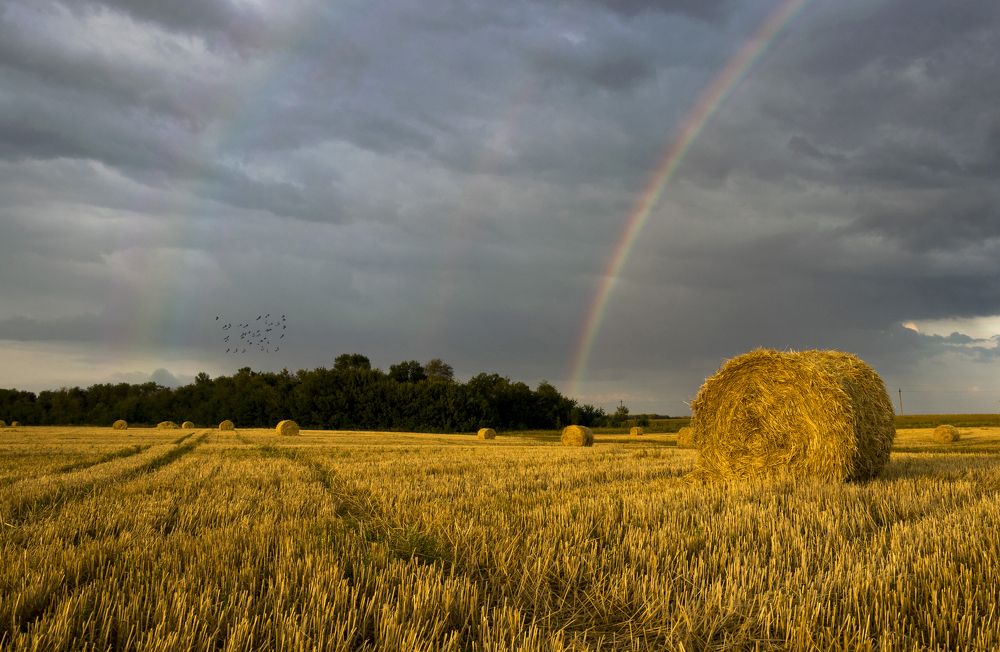 Золотое покрывало