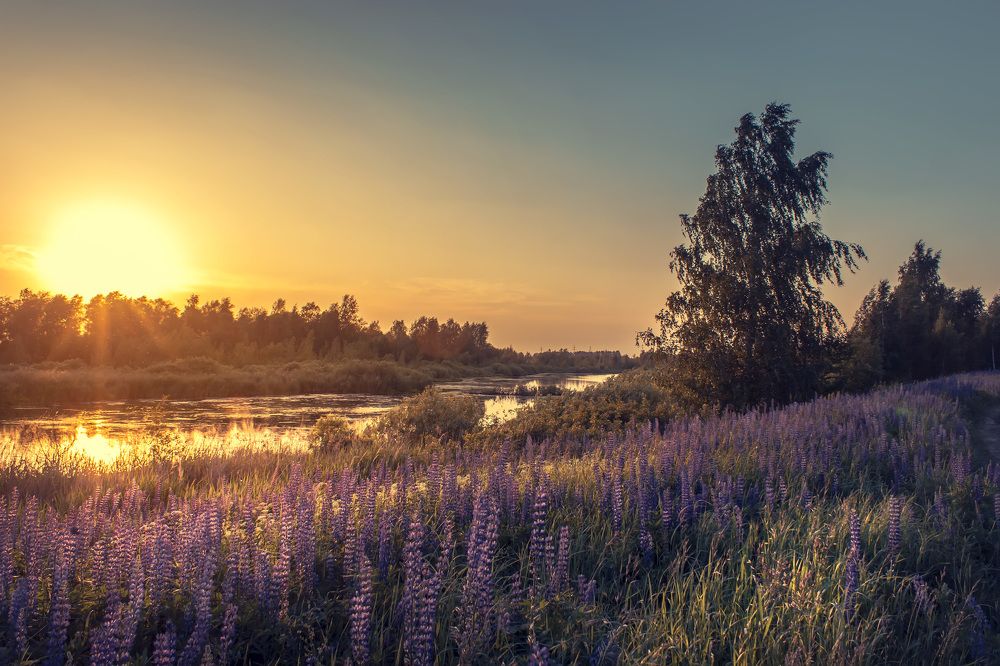 Летний вечер