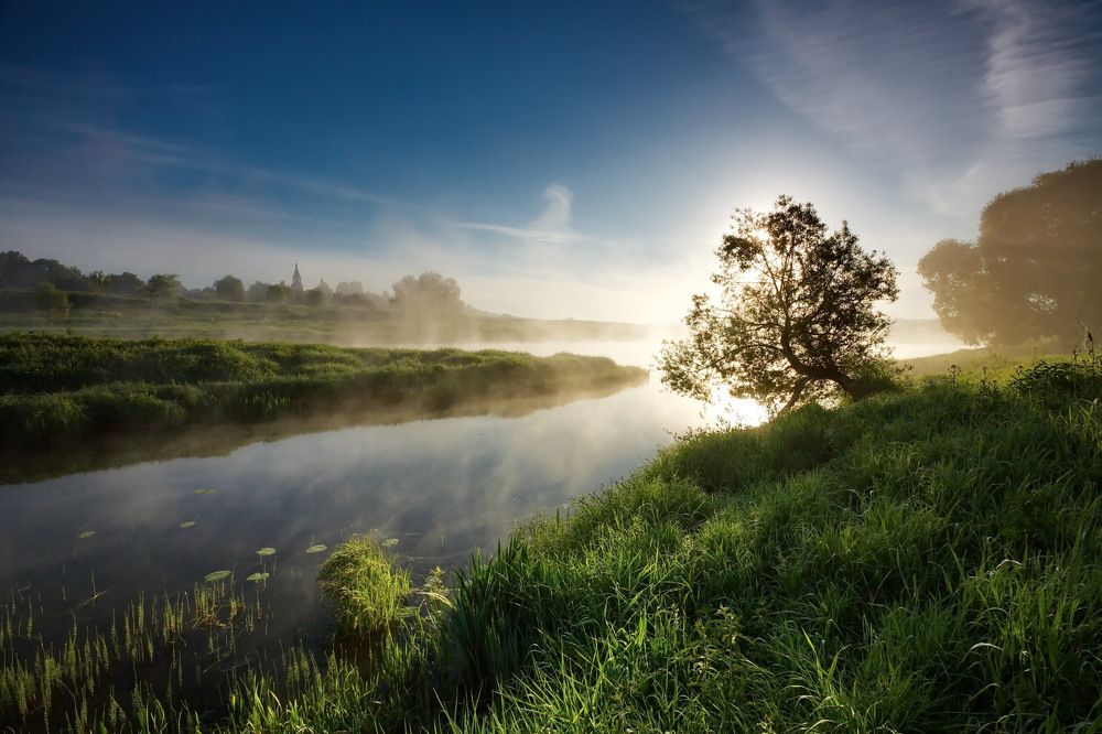 Свет сквозь дерево
