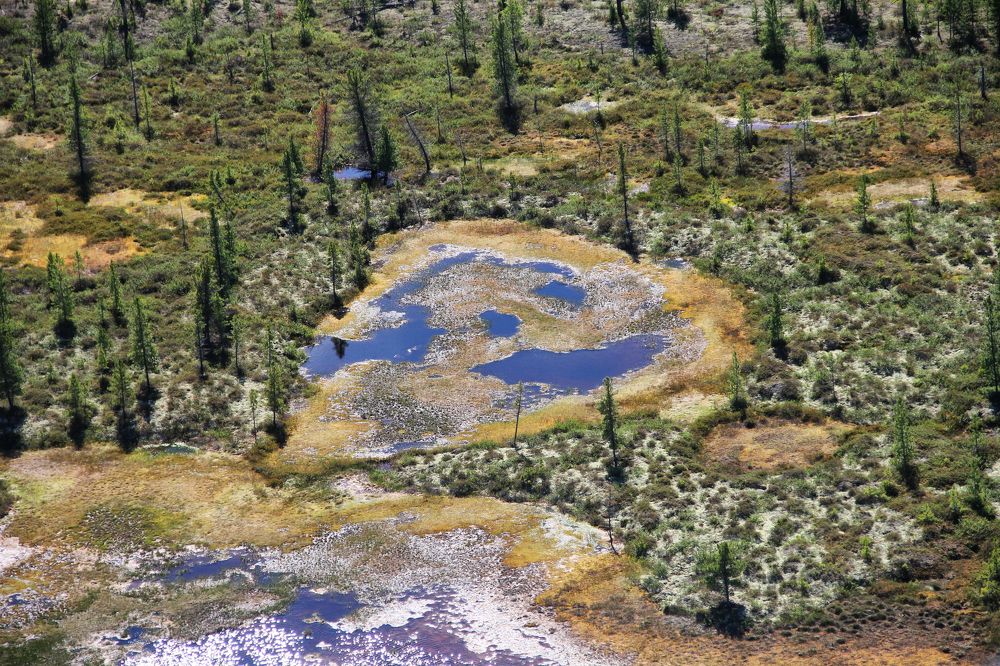 Когда природа улыбается тебе