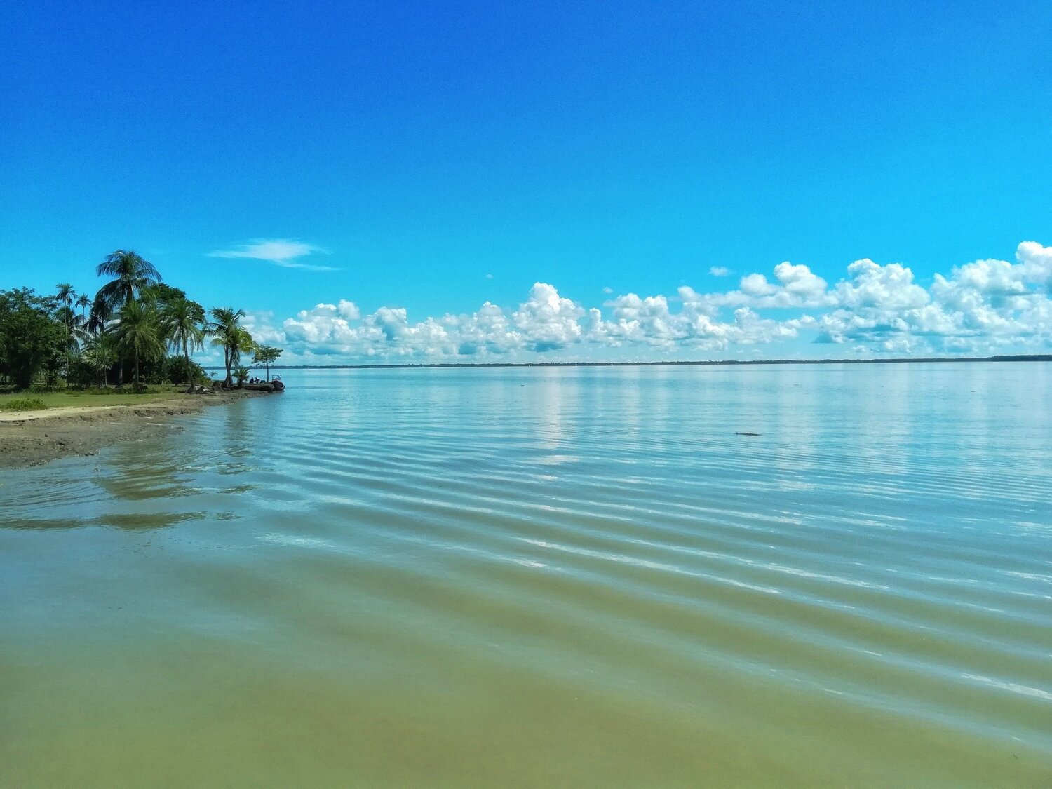 নিঝুম দ্বিপ