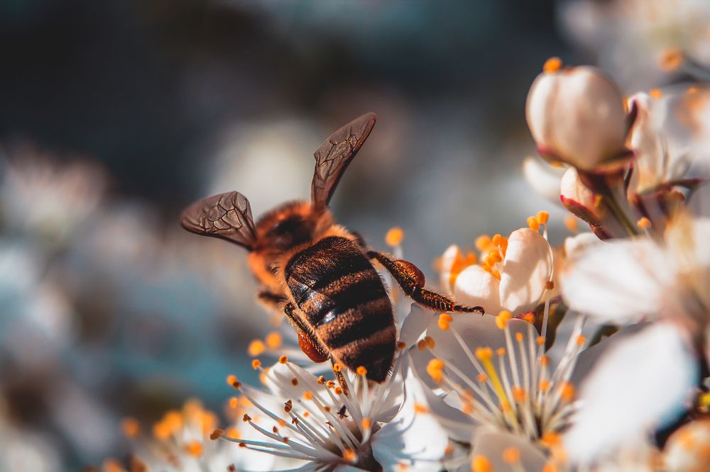 Весняна робота