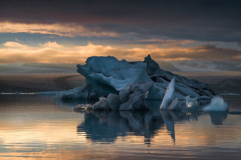 Исландские дельфины.