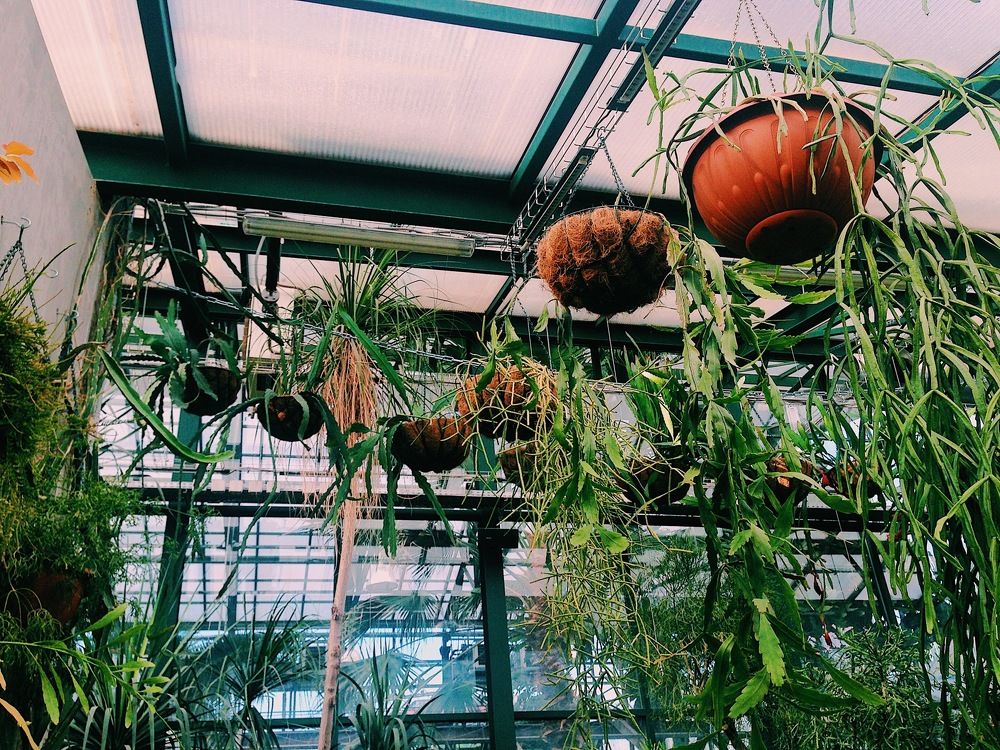 Photograph by Анастасия Козлова