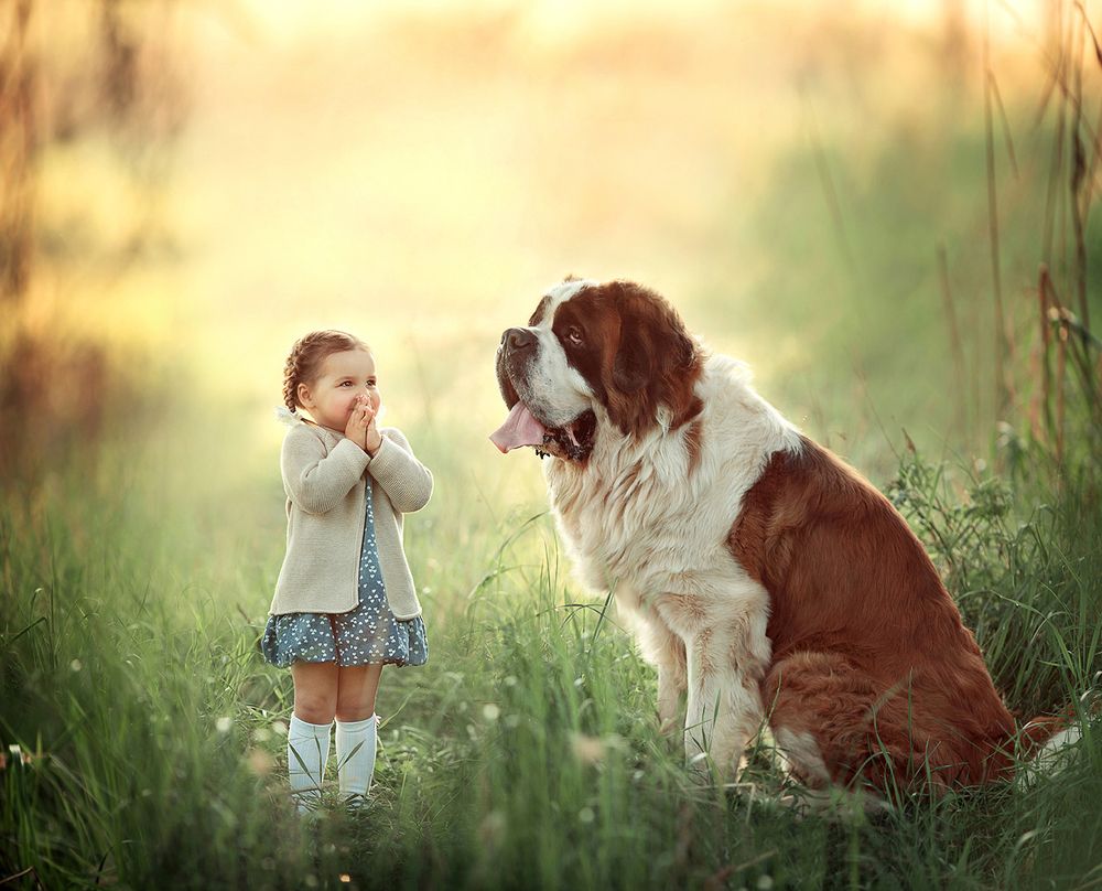 Приятная встреча