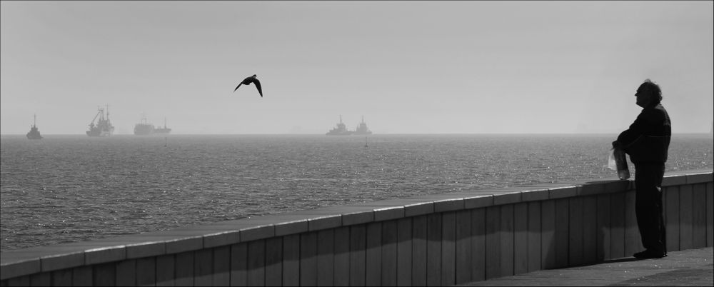 А может быть ты стала птицей.