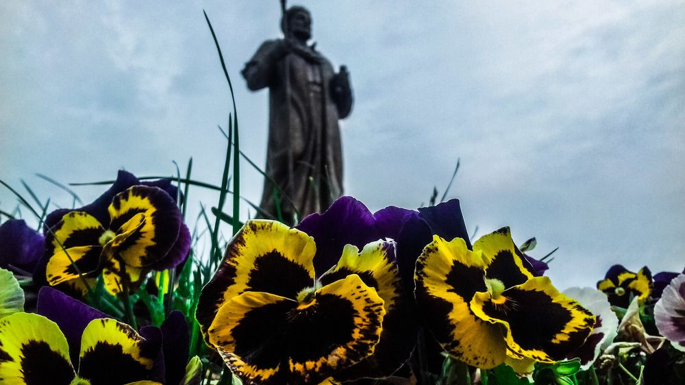 Цветы у ног Алишера Навои