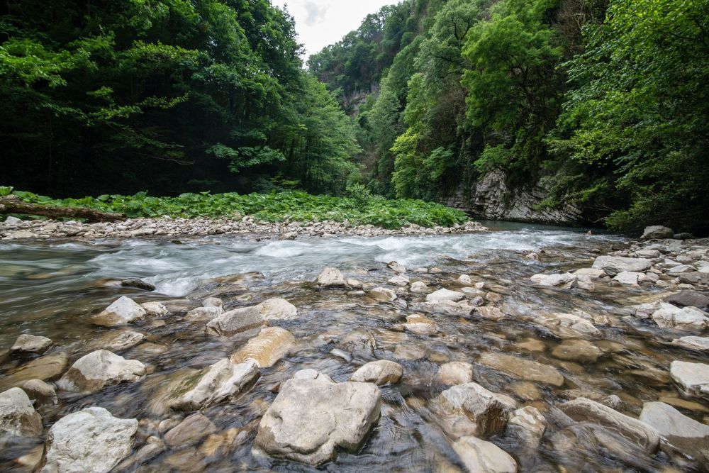 течение реки