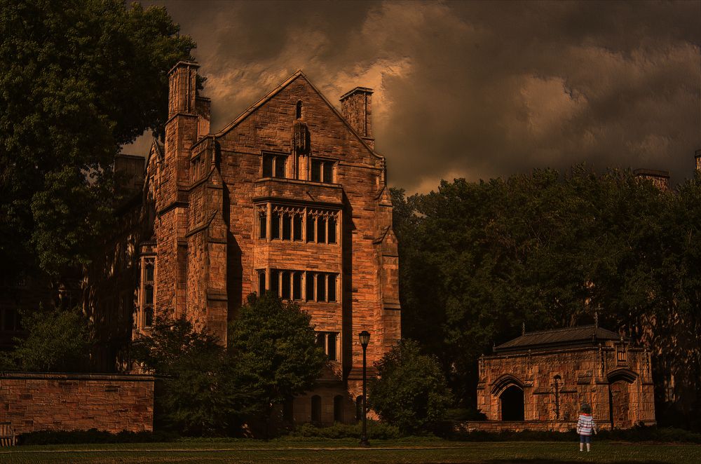 Войди в храм науки и дверь закроется навсегда.