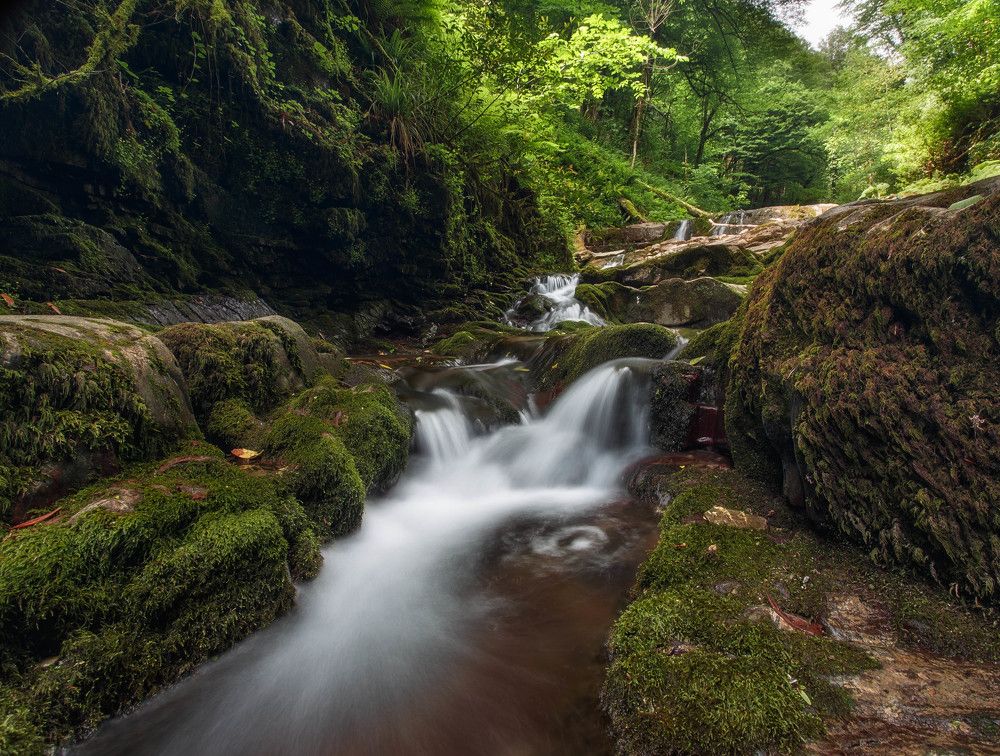 Водяные завитки
