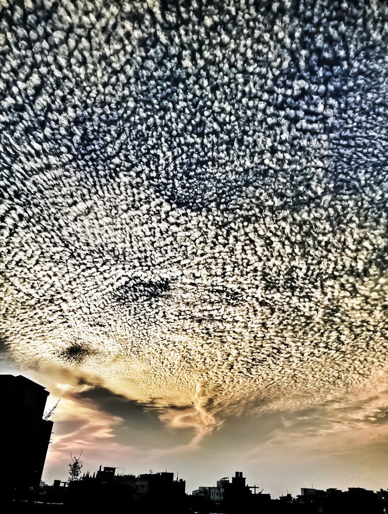 Cotton In The Sky