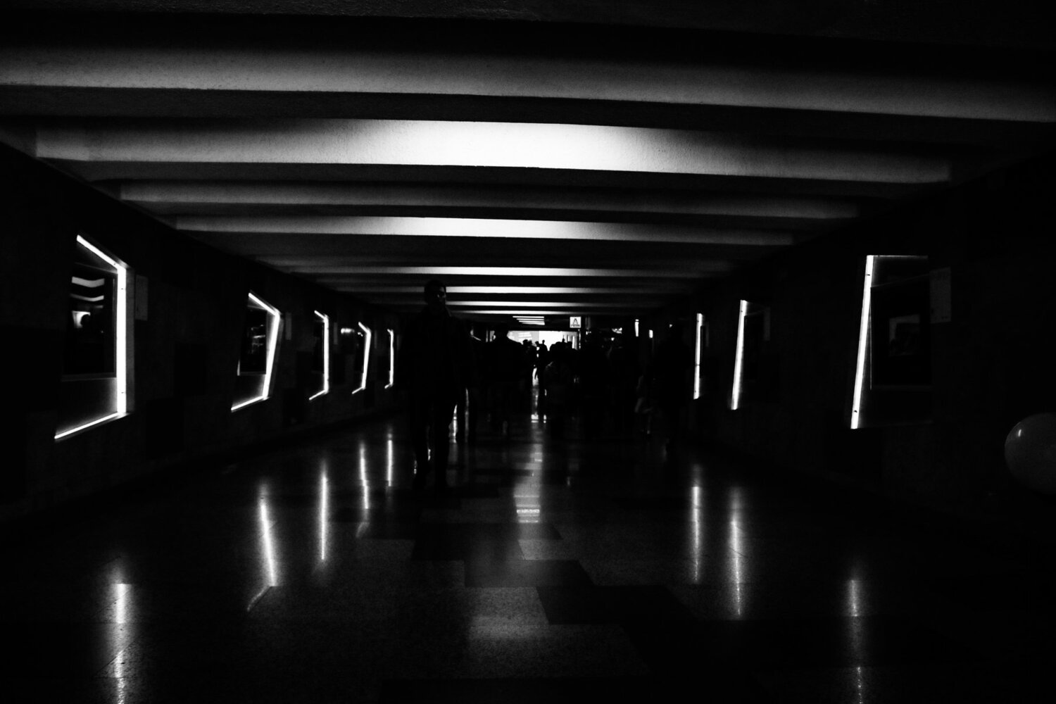 Photo #2346092