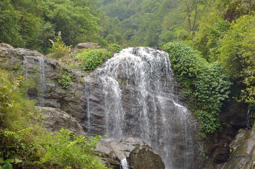 Фотография автора sujit kumar kumar