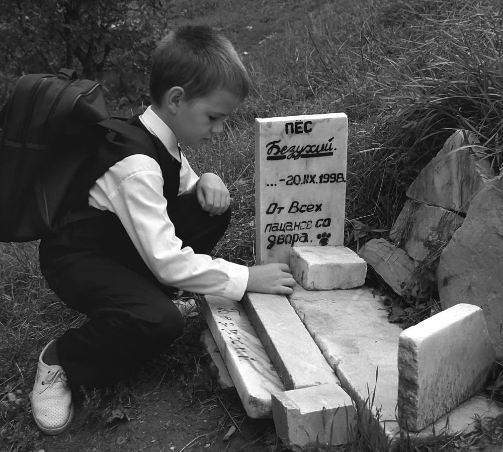 Пёс Безухий.