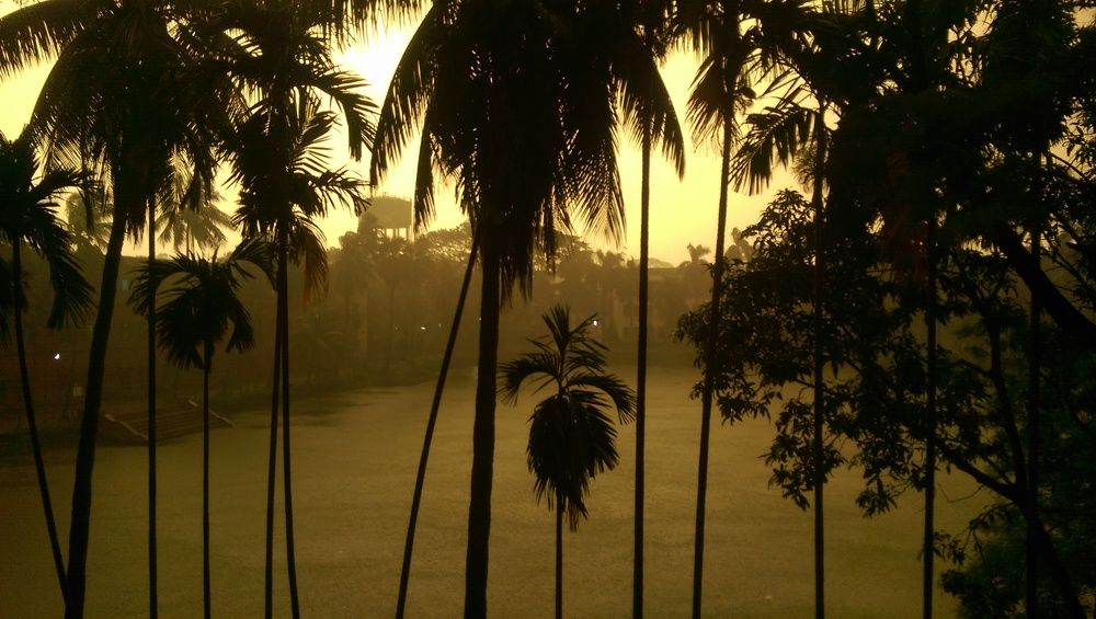 Rainy day