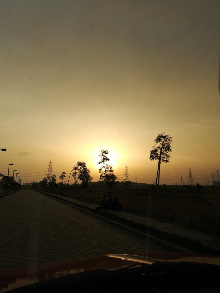Sunset in urban jungle
