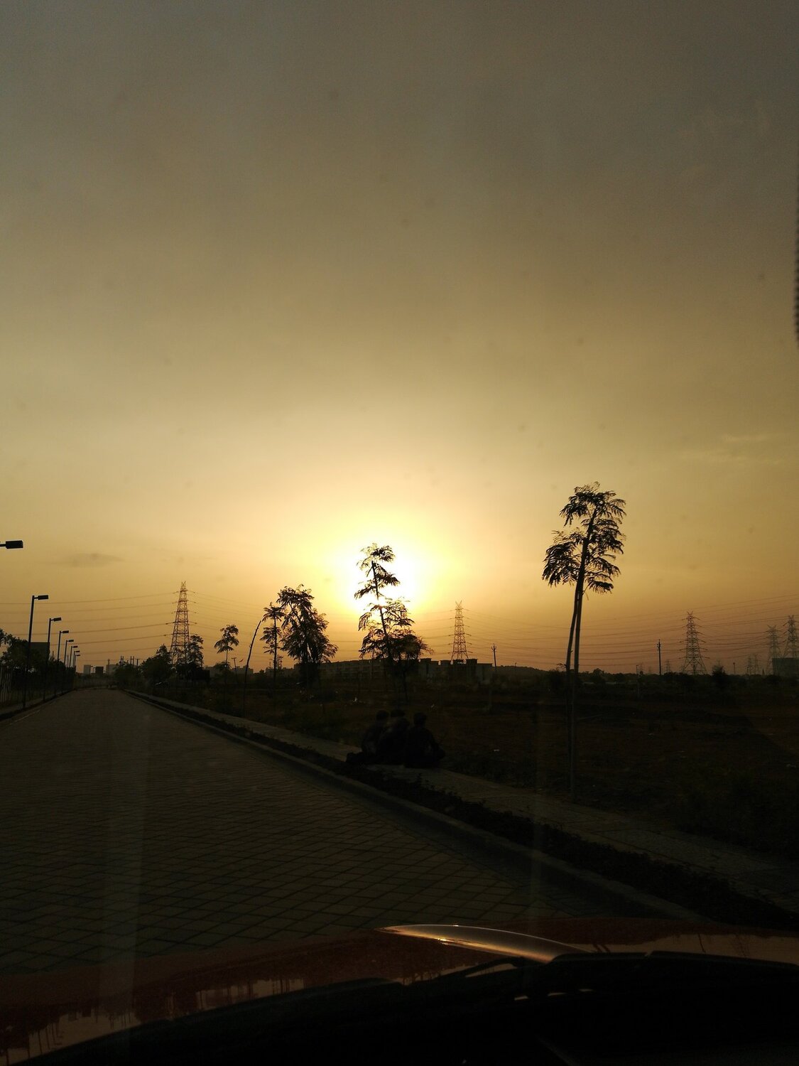 Sunset in urban jungle