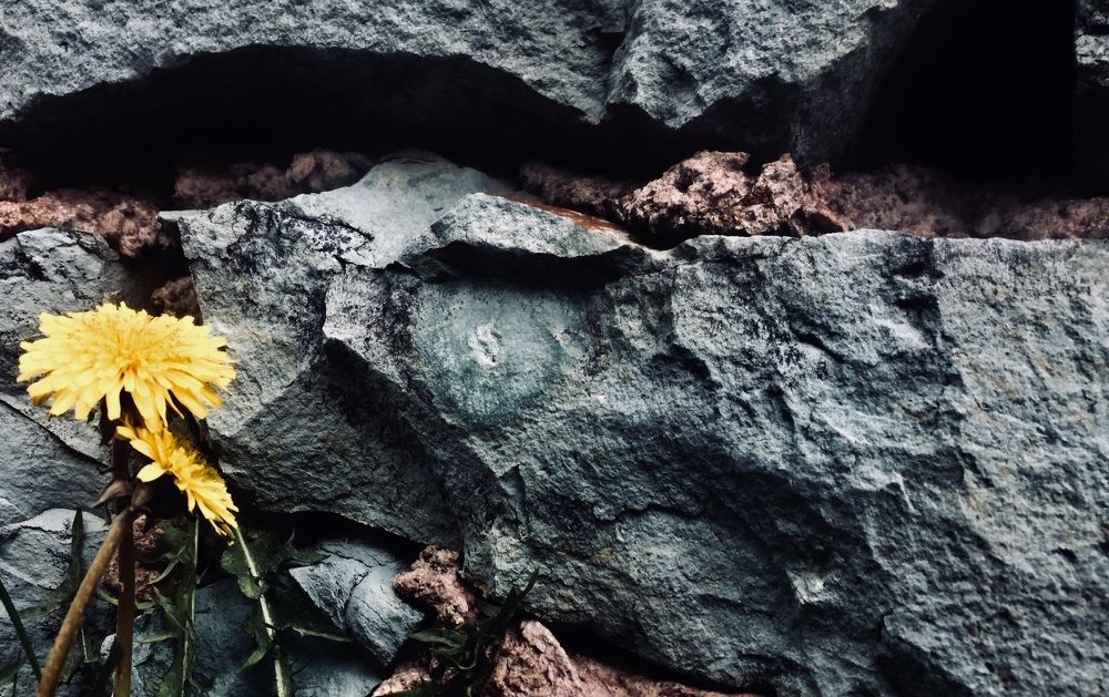 Photograph by Ruzanna