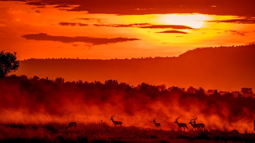 Sunset at Maasai Mara